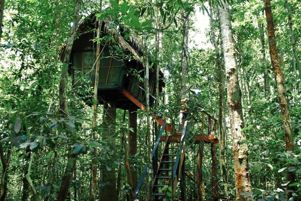 Reserva Natural Tanimboca Leticia Extérieur photo