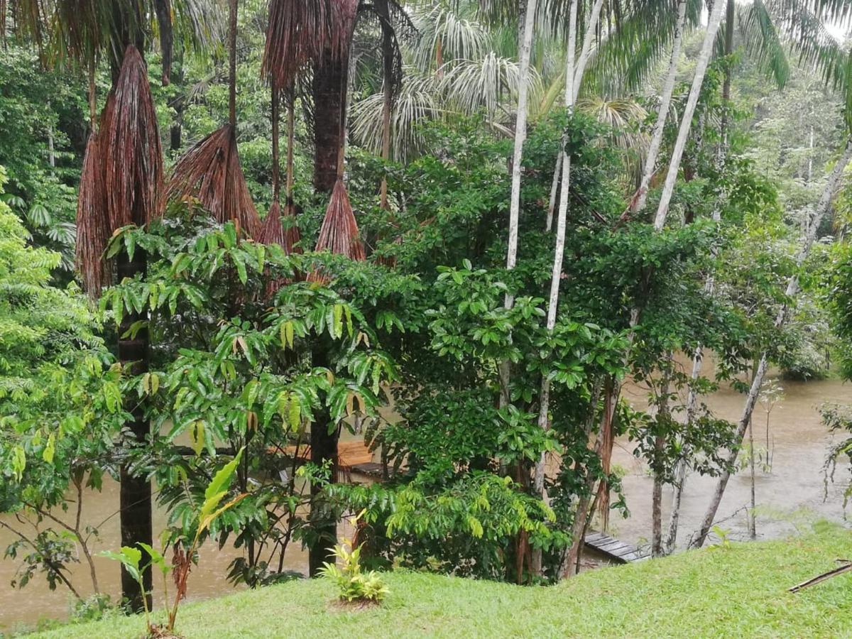 Reserva Natural Tanimboca Leticia Extérieur photo