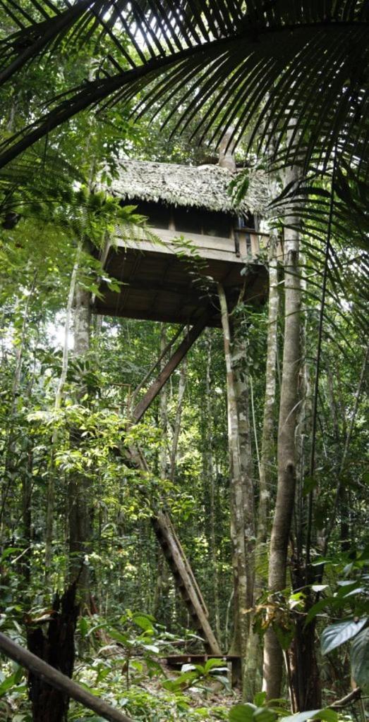 Reserva Natural Tanimboca Leticia Extérieur photo