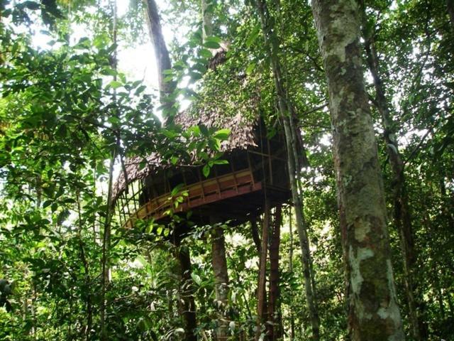 Reserva Natural Tanimboca Leticia Extérieur photo