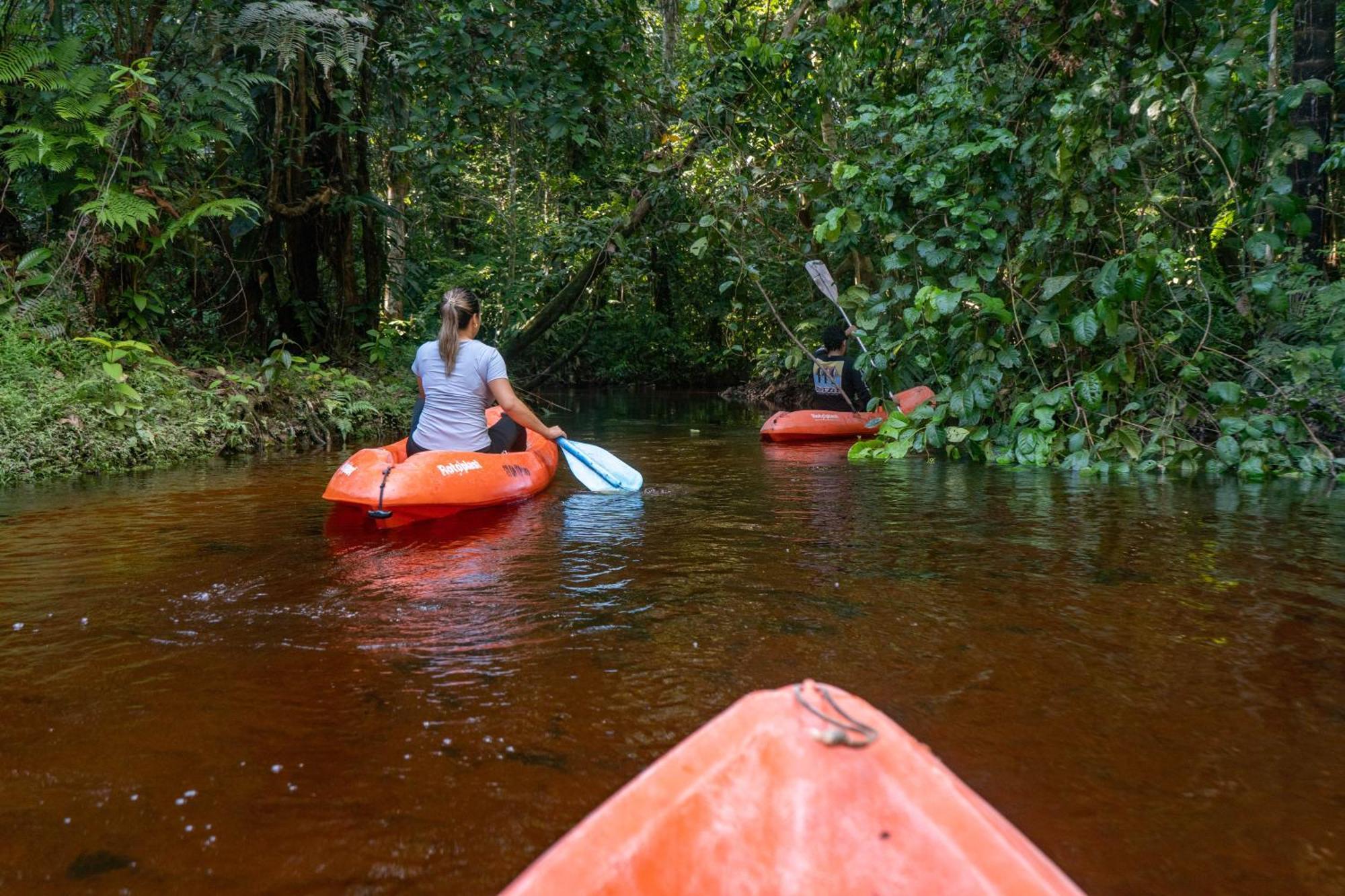 Reserva Natural Tanimboca Leticia Extérieur photo