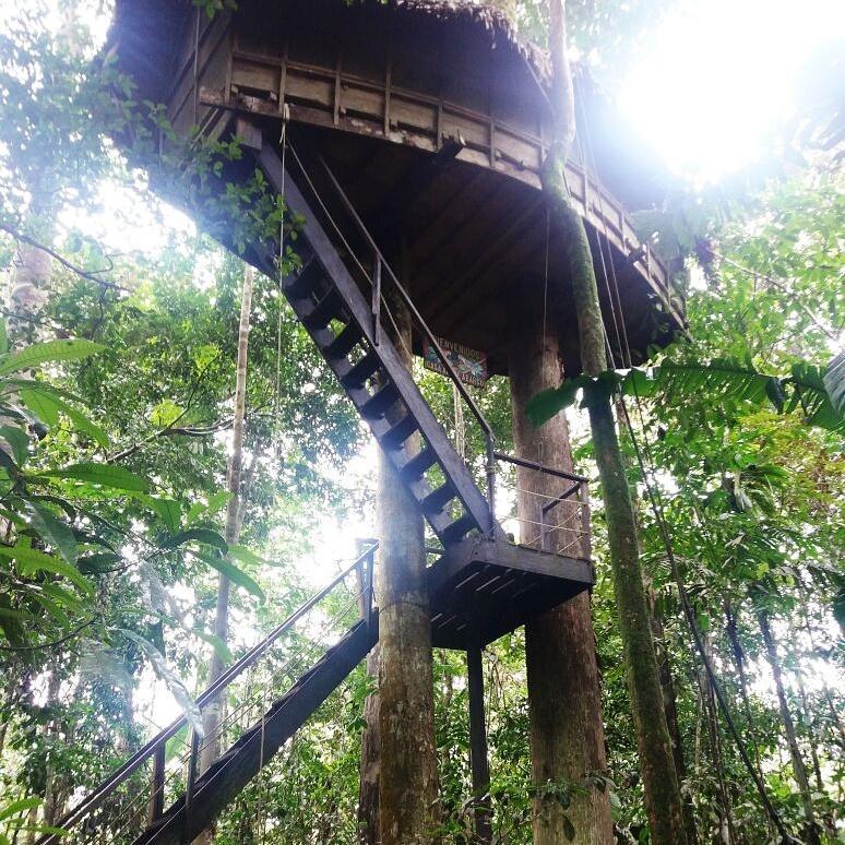 Reserva Natural Tanimboca Leticia Extérieur photo